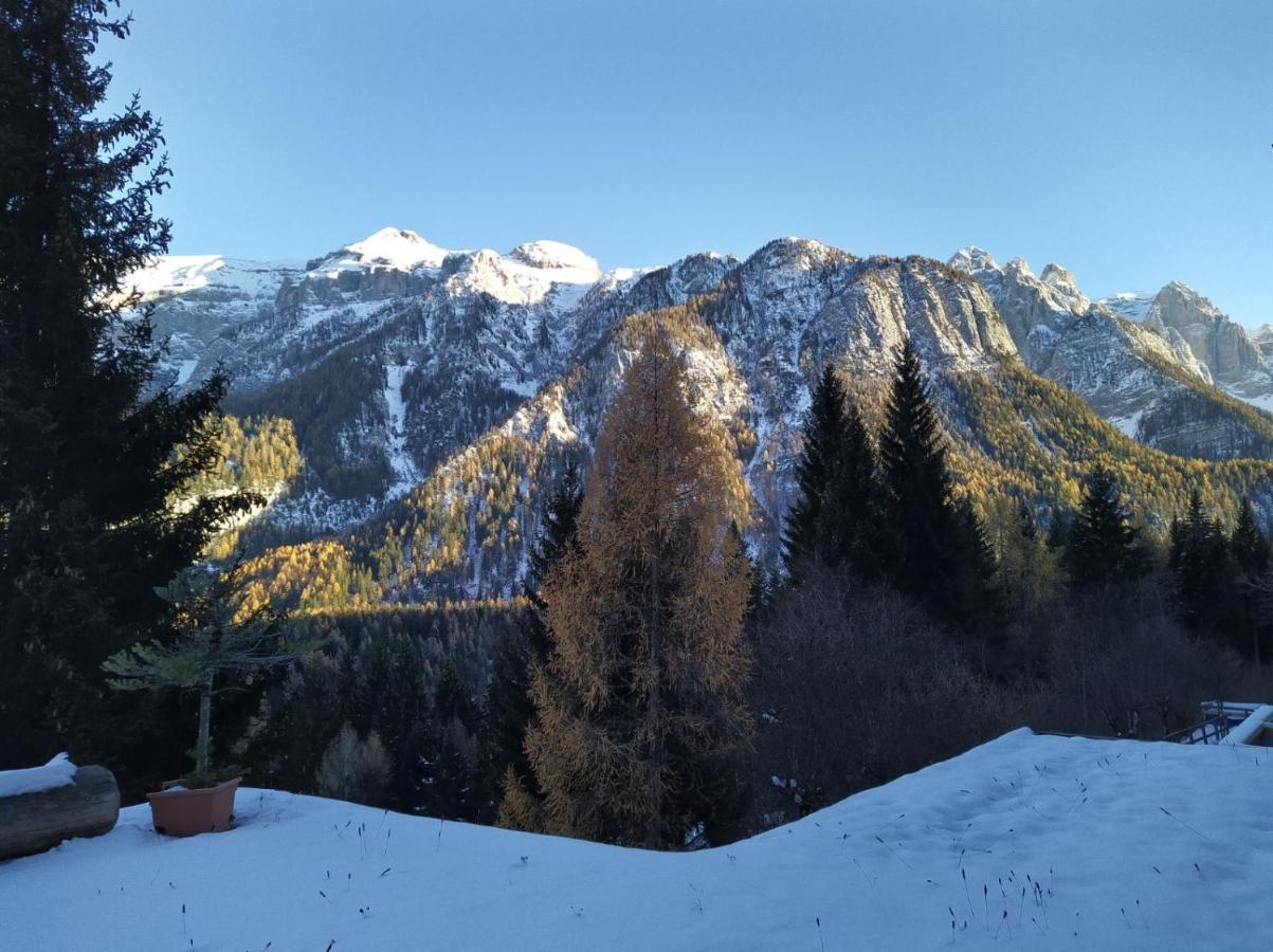 Appartamento I Larici Folgarida Zewnętrze zdjęcie